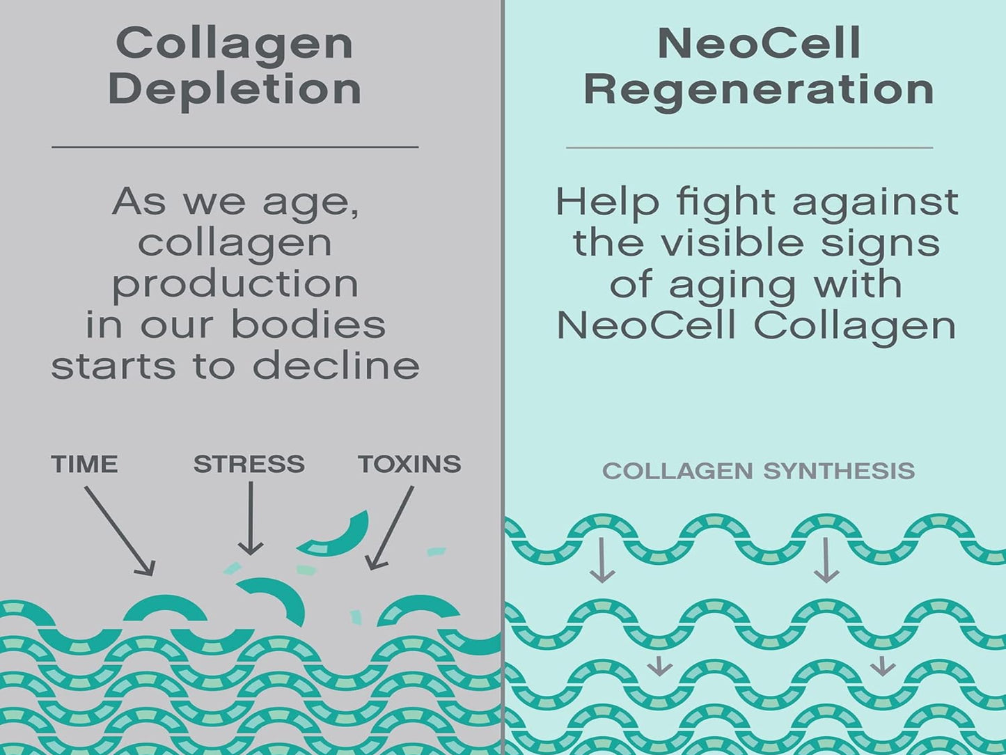 Neocell Super Collagen Peptides Plus Unflavored Powder 406g in Sri Lanka