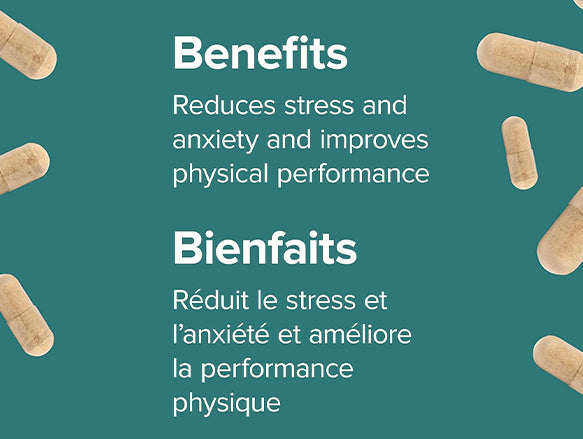 The 7200 mg of Ashwagandha in Webber Naturals plays an important role in supporting a balanced mood, reducing stress, and improving general mental health with each dose.