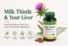 Milk Thistle for Liver Health: What Does the Evidence Actually Say?