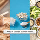 Whey Protein vs Collagen vs Plant Protein: Which Is Best for Your Goal?
