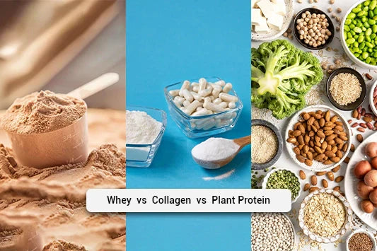 Whey Protein vs Collagen vs Plant Protein: Which Is Best for Your Goal?