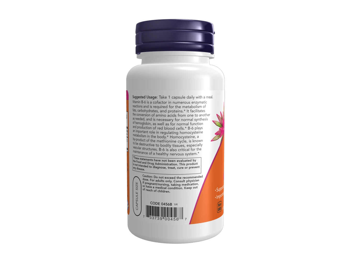 Now B-6 100mg Veg 100 Capsules