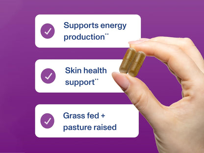 Vital Proteins Beef Liver 120 Capsules in Sri Lanka 