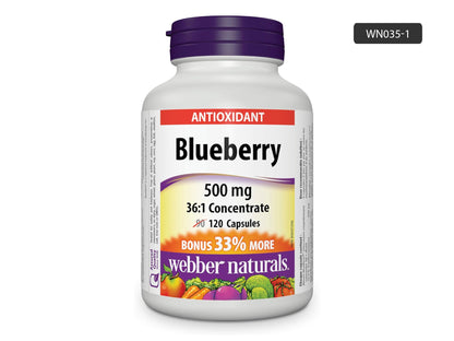 Webber Naturals Blueberry 500mg 36:1 Concentrate 120 Capsules