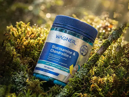 Wagner Glucosamine and Chondroitin Plus 200 Capsules in Sri Lanka