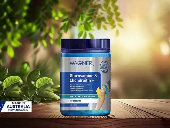 Wagner Glucosamine and Chondroitin Plus 200 Capsules in Sri Lanka