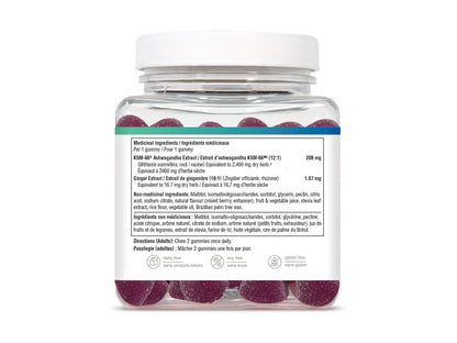 Youtheory Ashwagandha Zero Sugar 60 Gummies in Sri Lanka at SupplementVault.lk