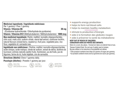 Youtheory Vitamin B12 B6 Gummies 60 Gummies in Sri Lanka at SupplementVault.lk